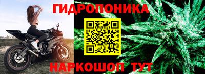 PSILOCYBIN Тула