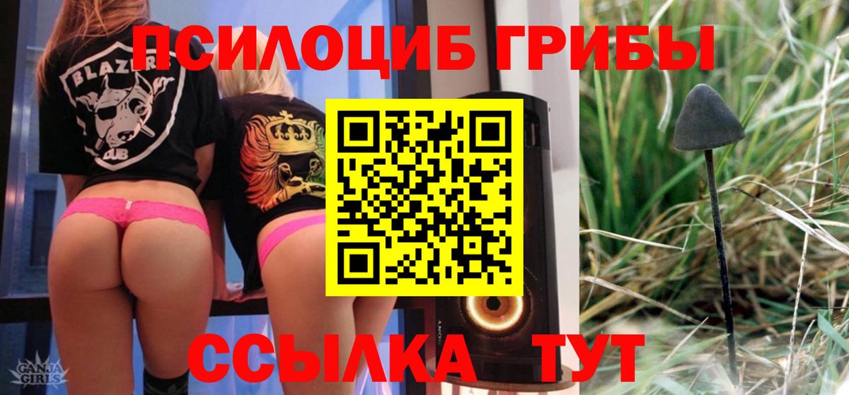 Галлюциногенные грибы GOLDEN TEACHER Астрахань