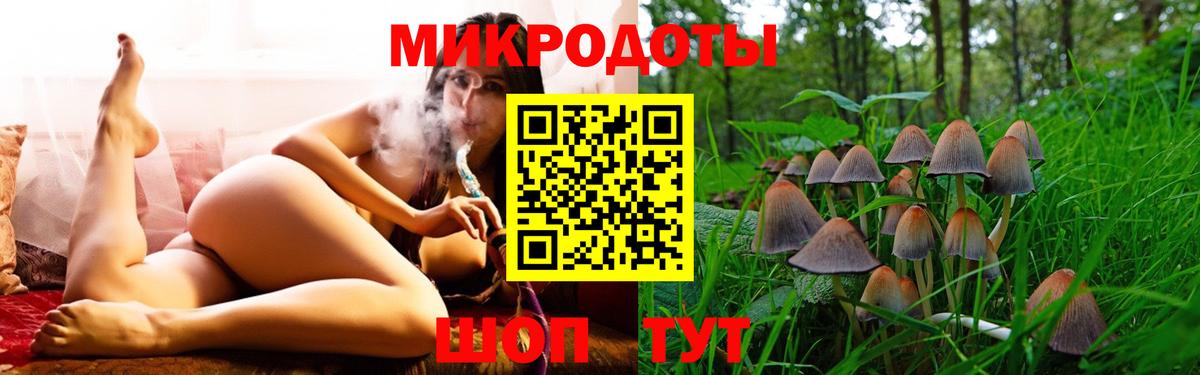 Псилоцибиновые грибы мухоморы  Вход с VPN  купить закладку  Астрахань 